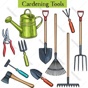 أدوات الحديقة