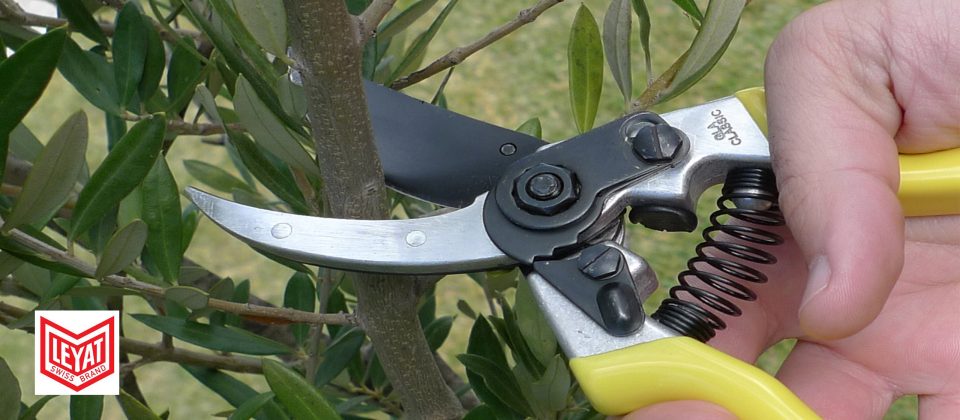 LEYAT-WEBSITE-JAALTOOLS